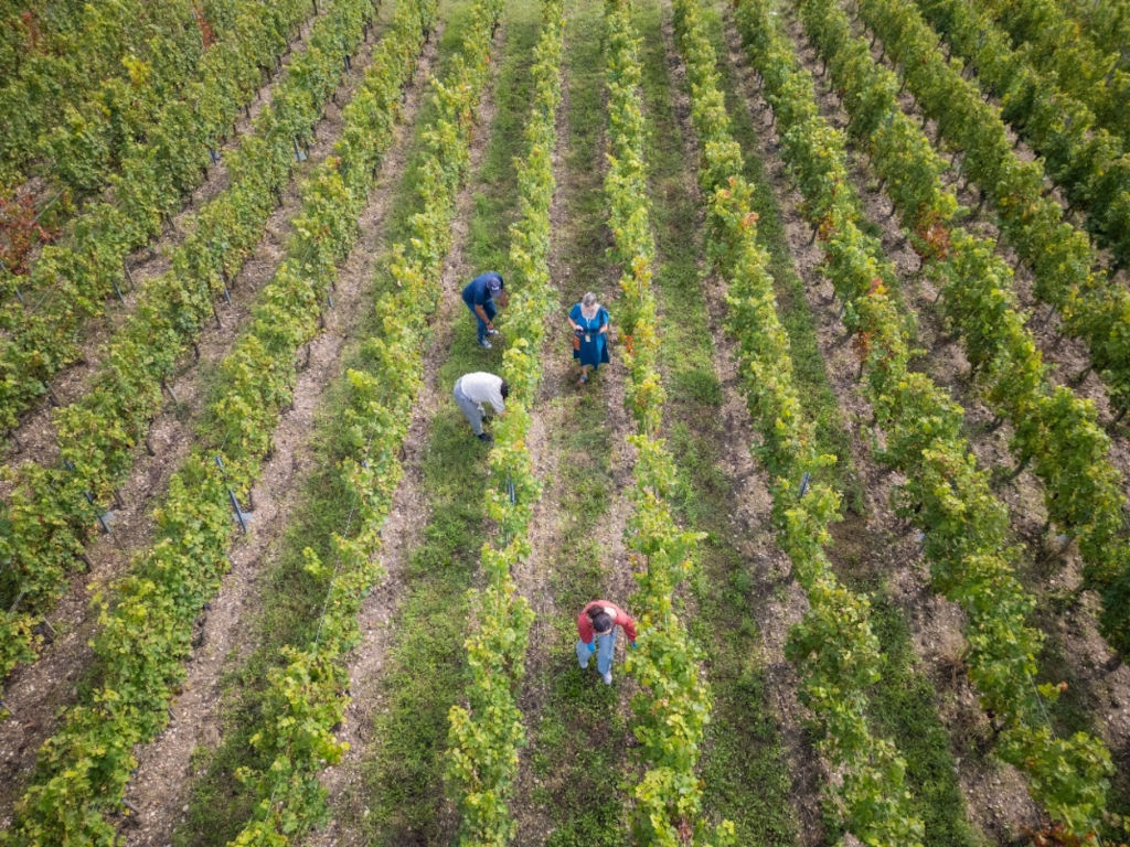 OSCAR observation carried out at Bordeaux INRAE center